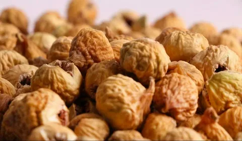 تصویر 2 از خرید انجیر خشک ریجاب + قیمت فروش استثنایی
